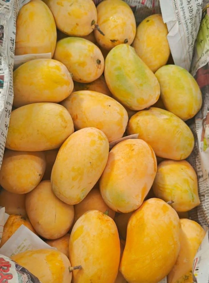 King White Chaunsa — Premium Muzaffargarh Mangoes